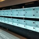 명품애견 이미지