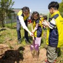 신북초교 이미지