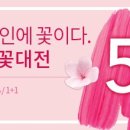 네이처리퍼블릭대전