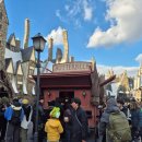 배부르댕 이미지