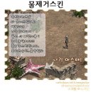 에바스킨