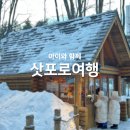 한그루치과의원 | [시온 밖의 이야기]아이와 삿포로여행 4일차: 비에이여행,크리스마스트리나무,탁신관갤러리,자작나무,흰...