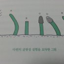 나무 이야기(1.27.수. 오동나무와 으름덩굴)... 이미지