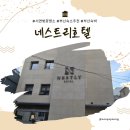 호텔 로 | 서면벚꽃명소 도보 5분 네스트리호텔 부산서면호텔 추천 후기 🌸