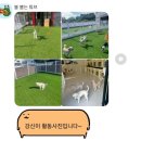 멍문(moon) 네이버블로그