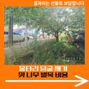 행운벌목 | 울타리 덩굴 제거 및 나무 벌목 비용