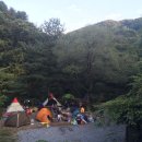 산으로간니모 이미지