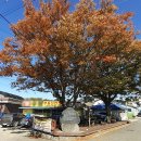 행림서원 | 논산 육곡리 행림서원에 가다