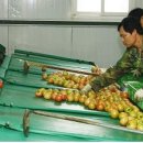 웰그린농장 이미지