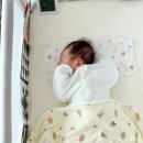 홈골지 | 신생아 아기 통잠 재우는 멜로우앤 스와들업 추천❤ 리틀원박스 후기