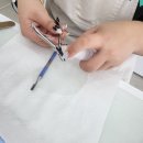 네일유일리