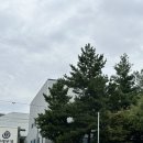폰사무소 네이버블로그