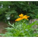 두암체육공원 이미지