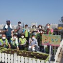 은비치농장 이미지