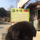 팔봉산 코뚜레 이미지