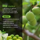 바른과일 이미지