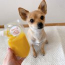 개밥드슈 이미지