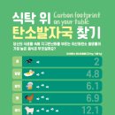 탄소발자국과 지구의 미래 이미지