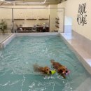 CW-0800-01 이미지