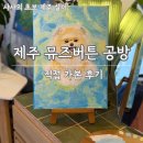 아기자기 반려 동물 옷 만들기 | 제주 애견동반 공방, 반려동물 초상화 뮤즈버튼