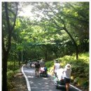 비슬산휴양림운동장 | 대구 비슬산 자연휴양림 솔캠~!