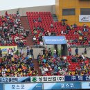 김태영축구장 | 2015 K리그 클래식 13라운드 | 전남 드래곤즈 vs 부산 아이파크 직관 @광양 축구전용구장