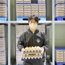 에그트리 이미지