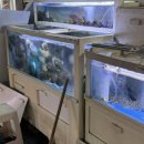 GS25거제장목점 | 🐟 거제 장목회포차