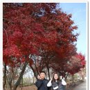 전주 공예품전시관(내부) 이미지