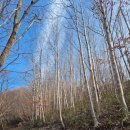 도솔봉 | 호남정맥 광양 도솔봉 리얼 등산 후기｜최단코스 상세 안내, 와이프와 부부 산행