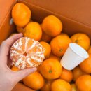 세일농장 이미지