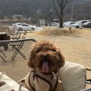 몽띠아모 이미지