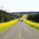 마동동사무소 이미지