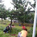 하모3리 이미지