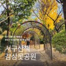 감삼못공원 이미지