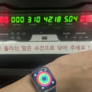 봉구스밥버거영월
