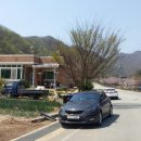 광산골식당 네이버블로그