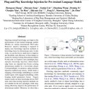 사전 훈련된 언어 모델을 위한 <b>플러그</b> <b>앤</b> <b>플레이</b> 지식 주입