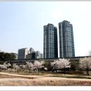 상동호수공원 이미지