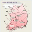 2022년 벚꽃 개화시기 평년보다 5~7일 빨라져...제주 3월16일 개화해 차츰 북상 이미지