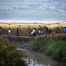 순천만 우리 이미지