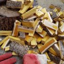 옻나무집 이미지