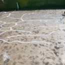 이화장모텔 이미지