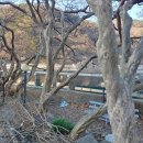 의령 청금정 이미지