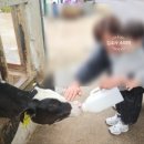 모산목장 이미지