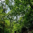 초안산캠핑장 이미지