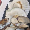 바위섬횟집 | 충청남도 홍성 / 남당항 대하축제 바위섬 횟집 내돈내산 찐 후기 / 2인세트 / 스끼다시, 대하, 물회...