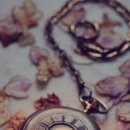 힐링정원 이미지