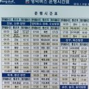 야성초등학교 앞 이미지