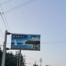 보고썬
